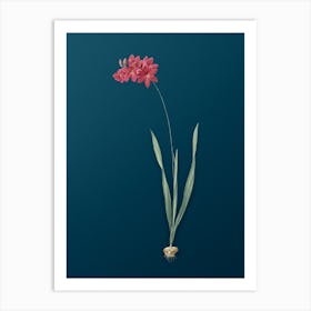 Vintage Ixia Filiformis Botanical Art on Teal Blue n.0882 Art Print