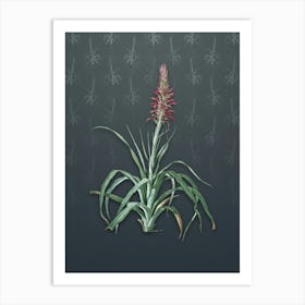 Vintage Pina Cortadora Botanical on Slate Gray Pattern n.1239 Art Print