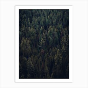 Dark Forest Wall Decor 1 Art Print