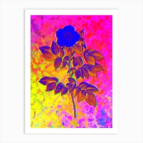 Leschenault's Rose Botanical in Acid Neon Pink Green and Blue n.0058 Art Print