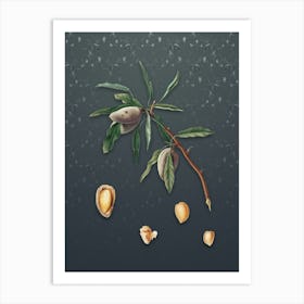 Vintage Almond Botanical on Slate Gray Pattern n.1298 Art Print