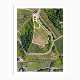 Aerial View Of Vineyards In Slovakia Art Print