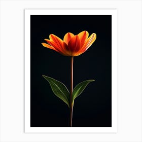 Single Orange Flower 4 Art Print