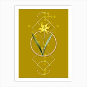 Vintage Tulipa Celsiana Botanical with Geometric Line Motif and Dot Pattern n.0103 Art Print