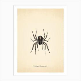 Vintage Spider 2 Poster Art Print