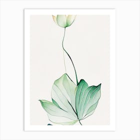 Water Lily Leaf Minimalist Watercolour 1 Art Print
