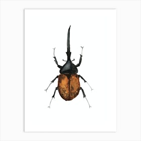 Dynastes Hercules Beetle Art Print