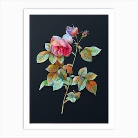 Vintage Pink Bourbon Roses Botanical Watercolor Illustration on Dark Teal Blue n.0793 Art Print