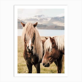 Pair Of Shaggy Horses Art Print