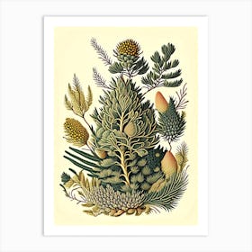 Running Pine Wildflower Vintage Botanical Art Print