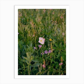 Texas Wildflower on Film Art Print