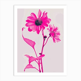 Hot Pink Sunflower 1 Art Print