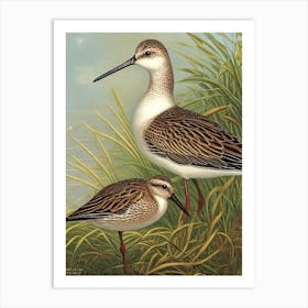 Dunlin Haeckel Style Vintage Illustration Bird Art Print