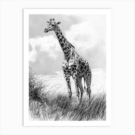 Lone Giraffe In The Wild 3 Art Print
