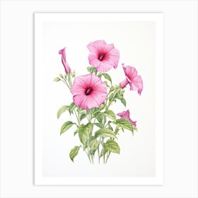 Petunias Flower Vintage Botanical 3 Art Print