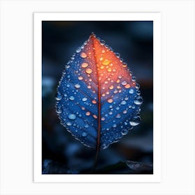 Leaf With Water Droplets 1 Art Print