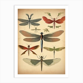 Dragonfly Geometric 1 Art Print