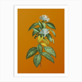 Vintage Laurustinus Botanical on Sunset Orange n.0390 Art Print