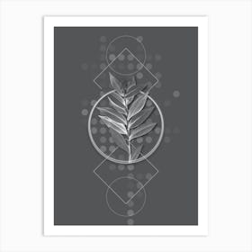 Vintage Smilacina Stellata Botanical with Line Motif and Dot Pattern in Ghost Gray n.0260 Art Print