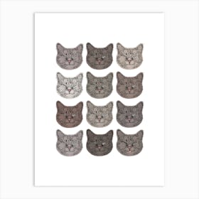 Cute Grey Cats Art Print
