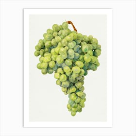 Green Grapes Art Print