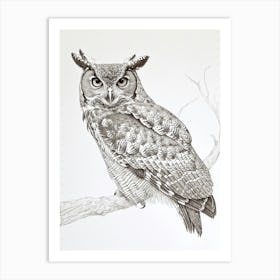 African Wood Owl Drawing 1 Art Print