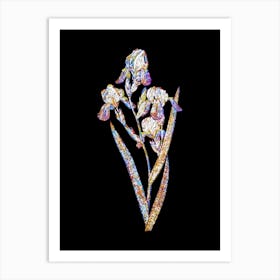Stained Glass Elder Scented Iris Mosaic Botanical Illustration on Black n.0186 Art Print