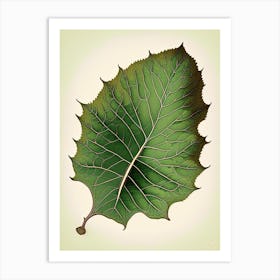 Curry Leaf Vintage Botanical Art Print