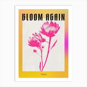 Hot Pink Protea 1 Poster Art Print