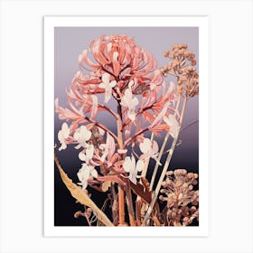 Flower Illustration Kangaroo Paw Flower 2 Art Print