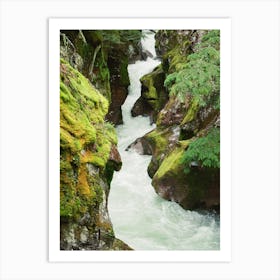 Mossy Creek In The Rainforest Art Print