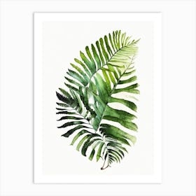 Australian Tree Fern 1 Watercolour Art Print