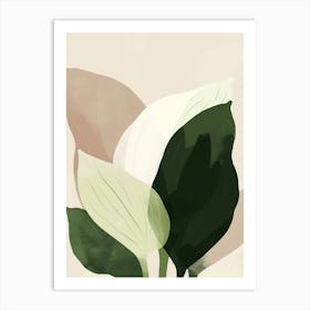 Hosta Plant Minimalist Illustration 2 Art Print