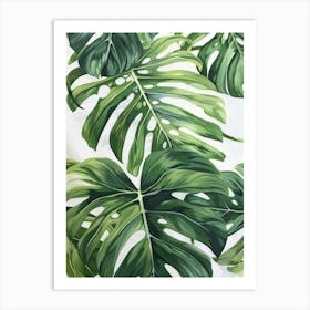 Monstera Leaves 8 Art Print