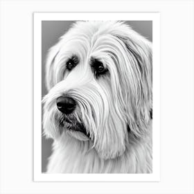 Briard B&W Pencil Dog Art Print