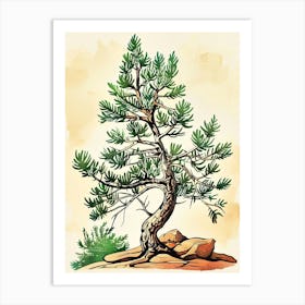 Juniper Tree Storybook Illustration 2 Art Print