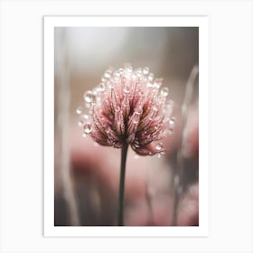 Pastel Nature Macro No 4 Art Print