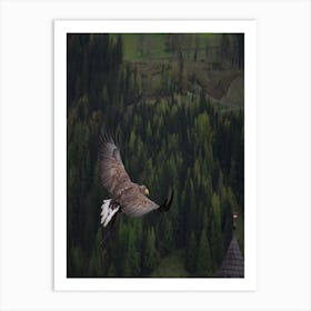 Eagle In Flight Art Print