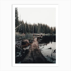 Log In Lake Art Print