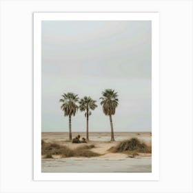 Three Palm Trees In The Desert Art Print