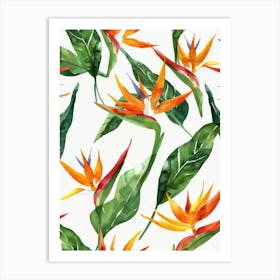 Bird Of Paradise 10 Art Print