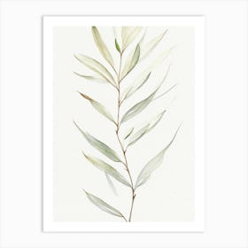 White Willow Leaf Minimalist Watercolour 2 Art Print