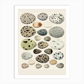 Pebbles Art Print