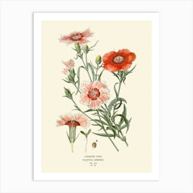 Carnations 1 Art Print