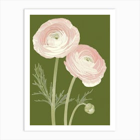 Pink & Green Ranunculus 2 Art Print