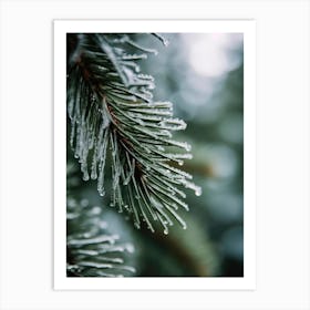 Winter Impressions No 5 Art Print