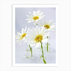 Daisies In Vases Art Print