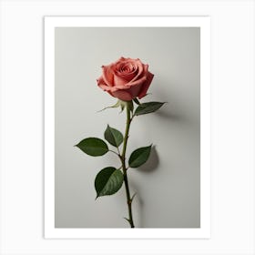 Valentines' Rose Art Print