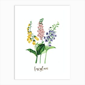 Foxglove Trio Art Print