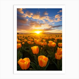 Tulips At Sunset Art Print